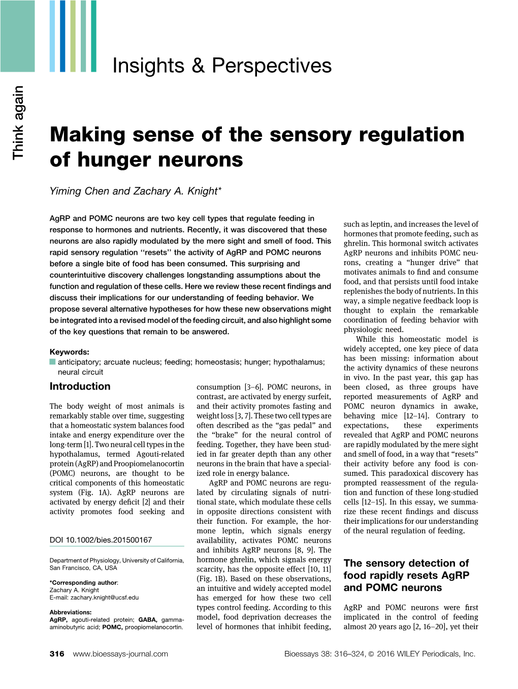 Making Sense of the Sensory Regulation of Hunger Neurons