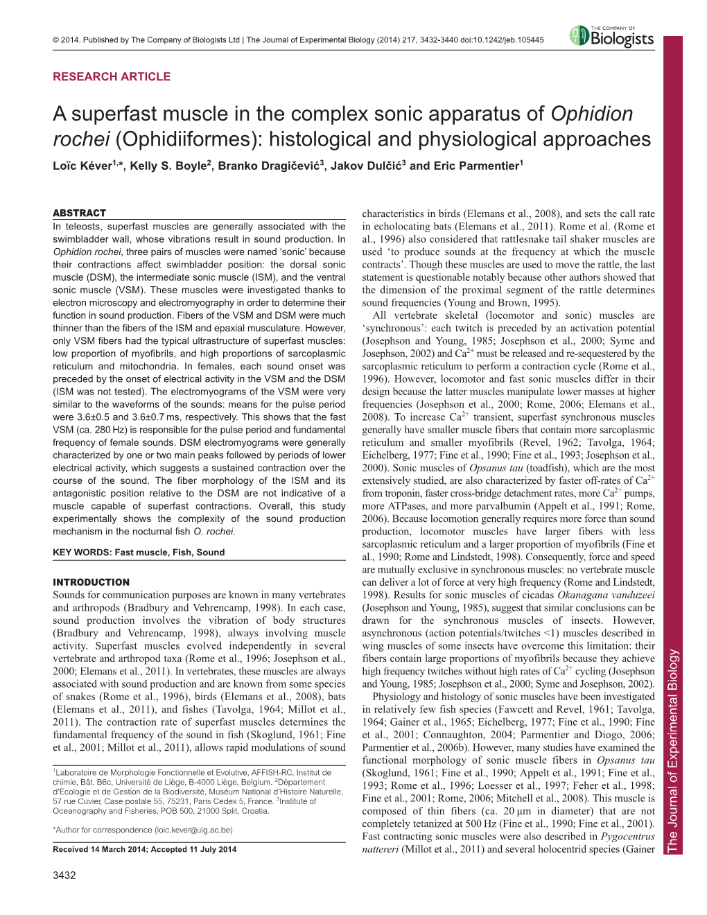 A Superfast Muscle in the Complex Sonic Apparatus of Ophidion Rochei