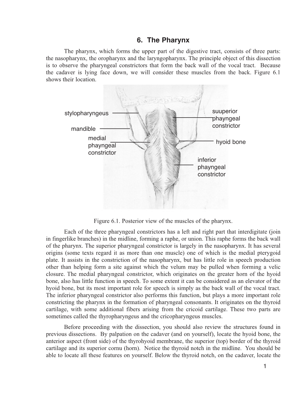 6. the Pharynx the Pharynx, Which Forms the Upper Part of the Digestive Tract, Consists of Three Parts: the Nasopharynx, the Oropharynx and the Laryngopharynx