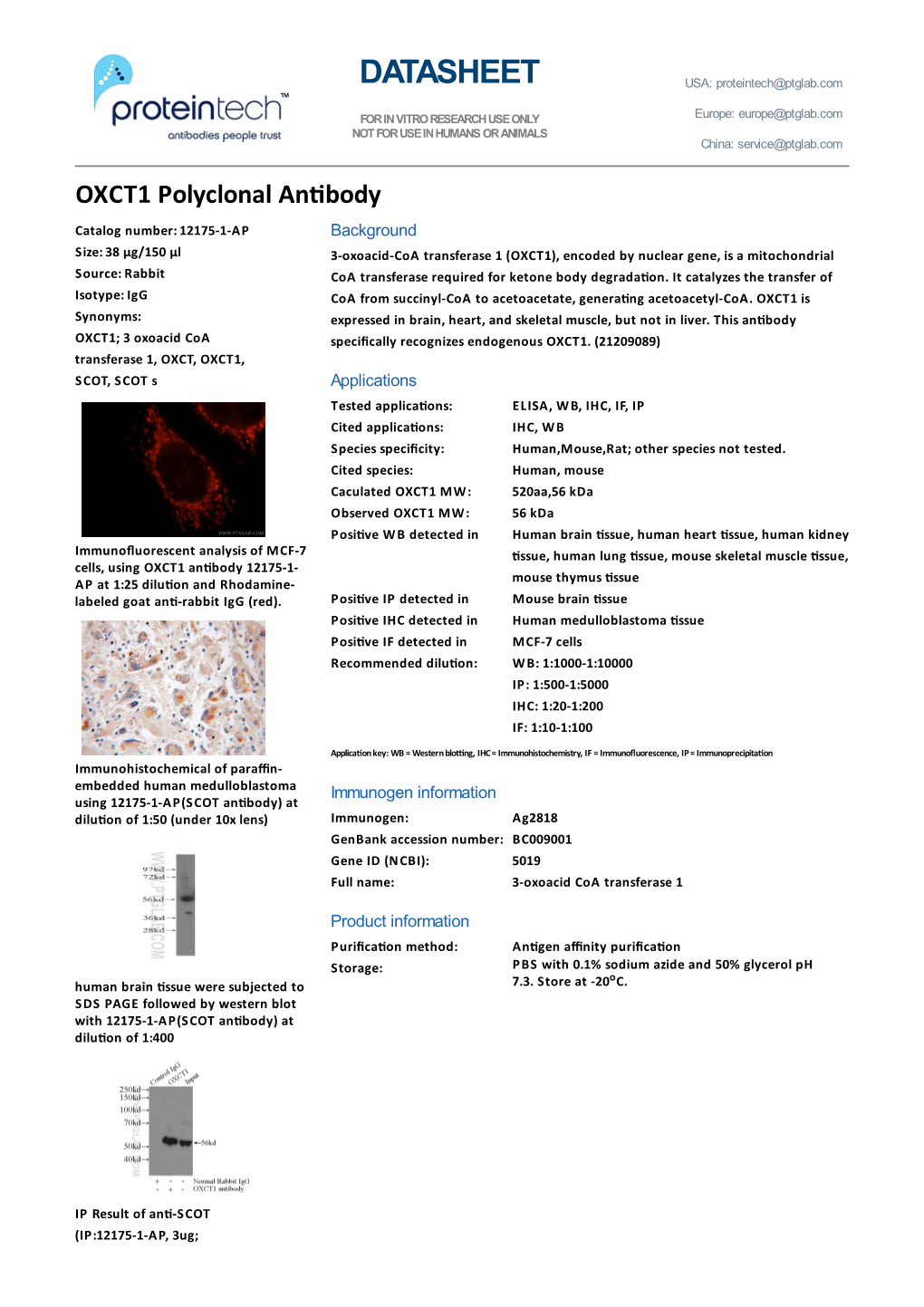 DATASHEET USA: Proteintech@Ptglab.Com