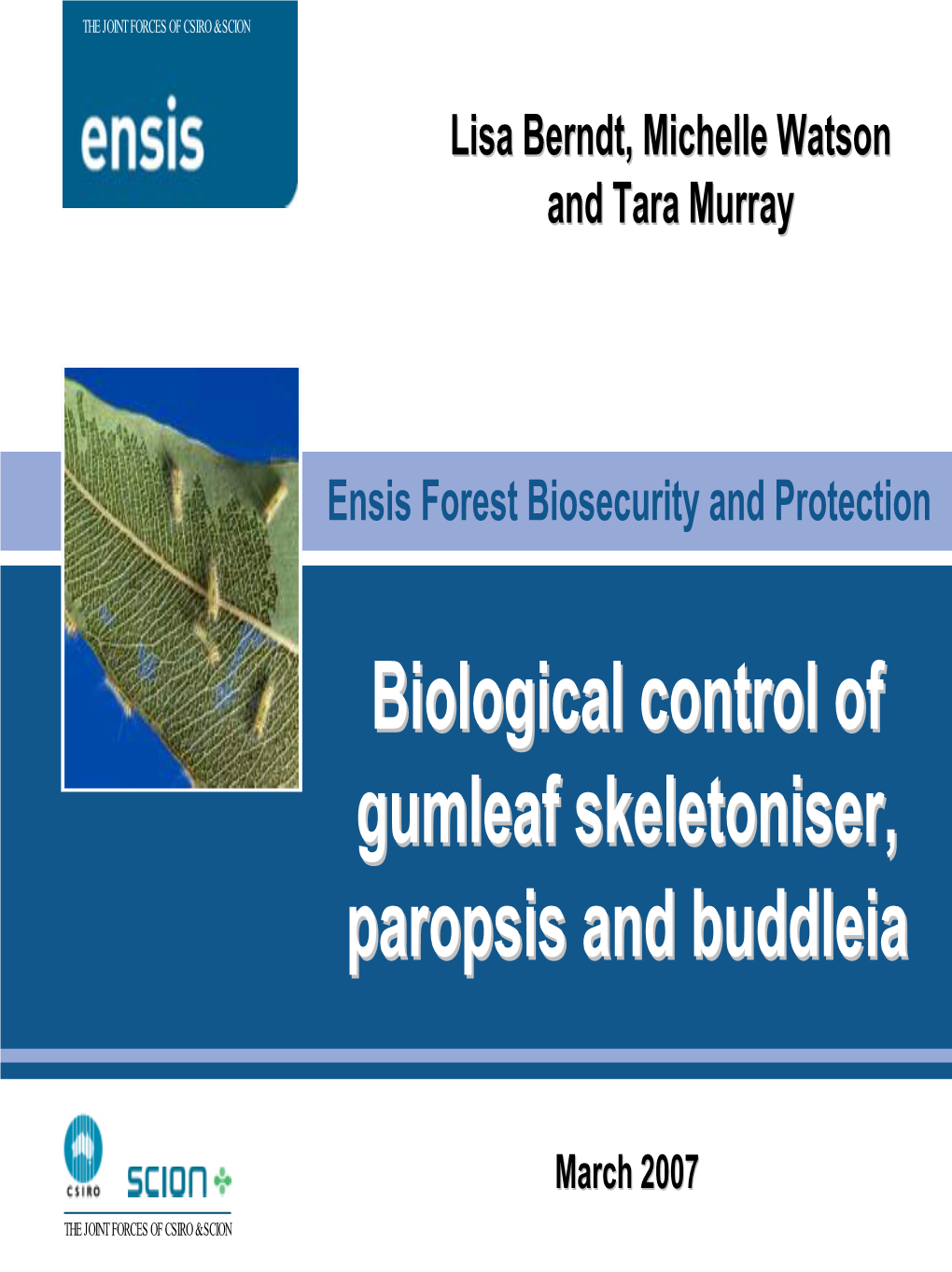 Gumleaf Skeletoniser Biocontrol: a Lesson in Patience