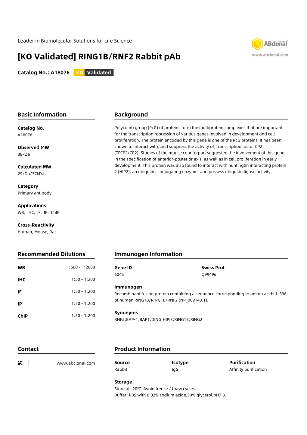 RING1B/RNF2 Rabbit Pab