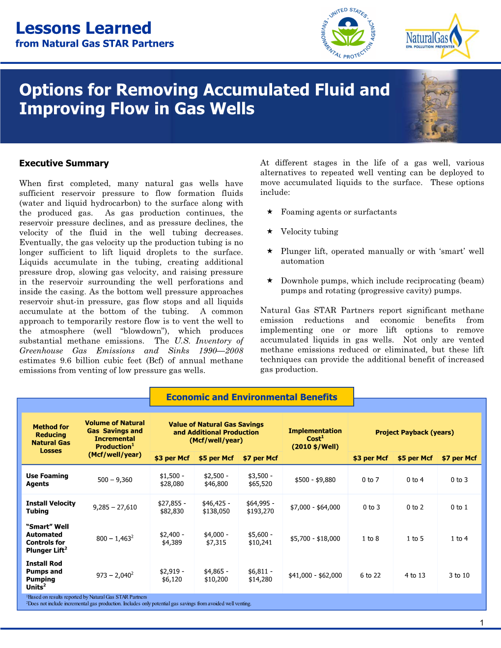 Options for Removing Accumulated Fluid and Improving Flow in Gas Wells