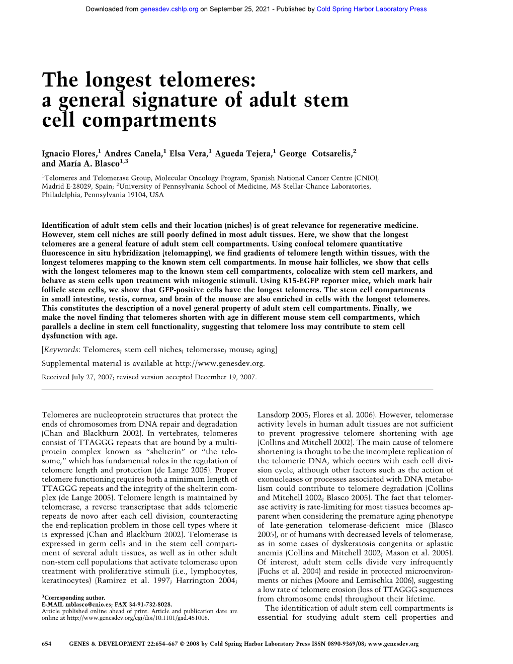 The Longest Telomeres: a General Signature of Adult Stem Cell Compartments