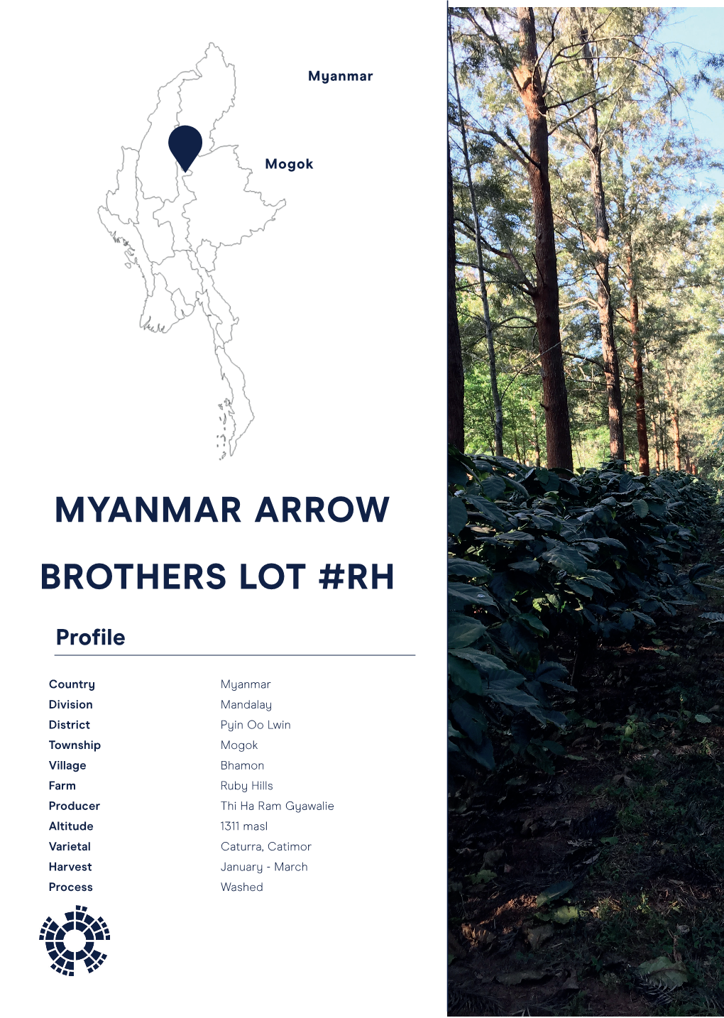 Myanmar Arrow Brothers Lot #RH.Indd