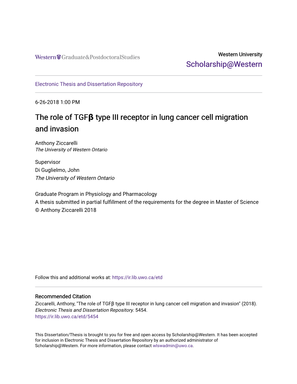 The Role of TGFÎ² Type III Receptor in Lung Cancer Cell Migration And