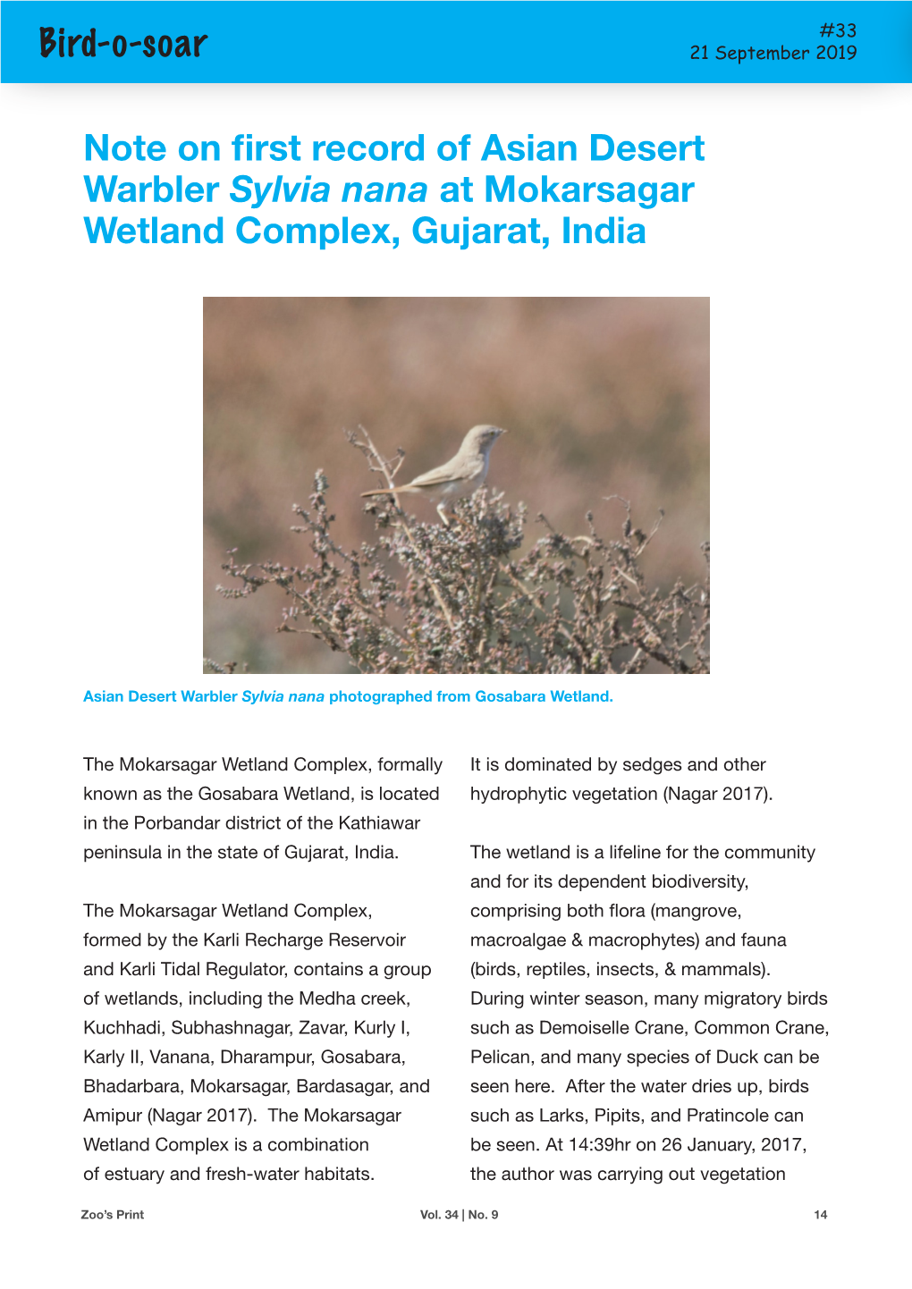 Bird-O-Soar Note on First Record of Asian Desert Warbler Sylvia Nana at Mokarsagar Wetland Complex, Gujarat, India