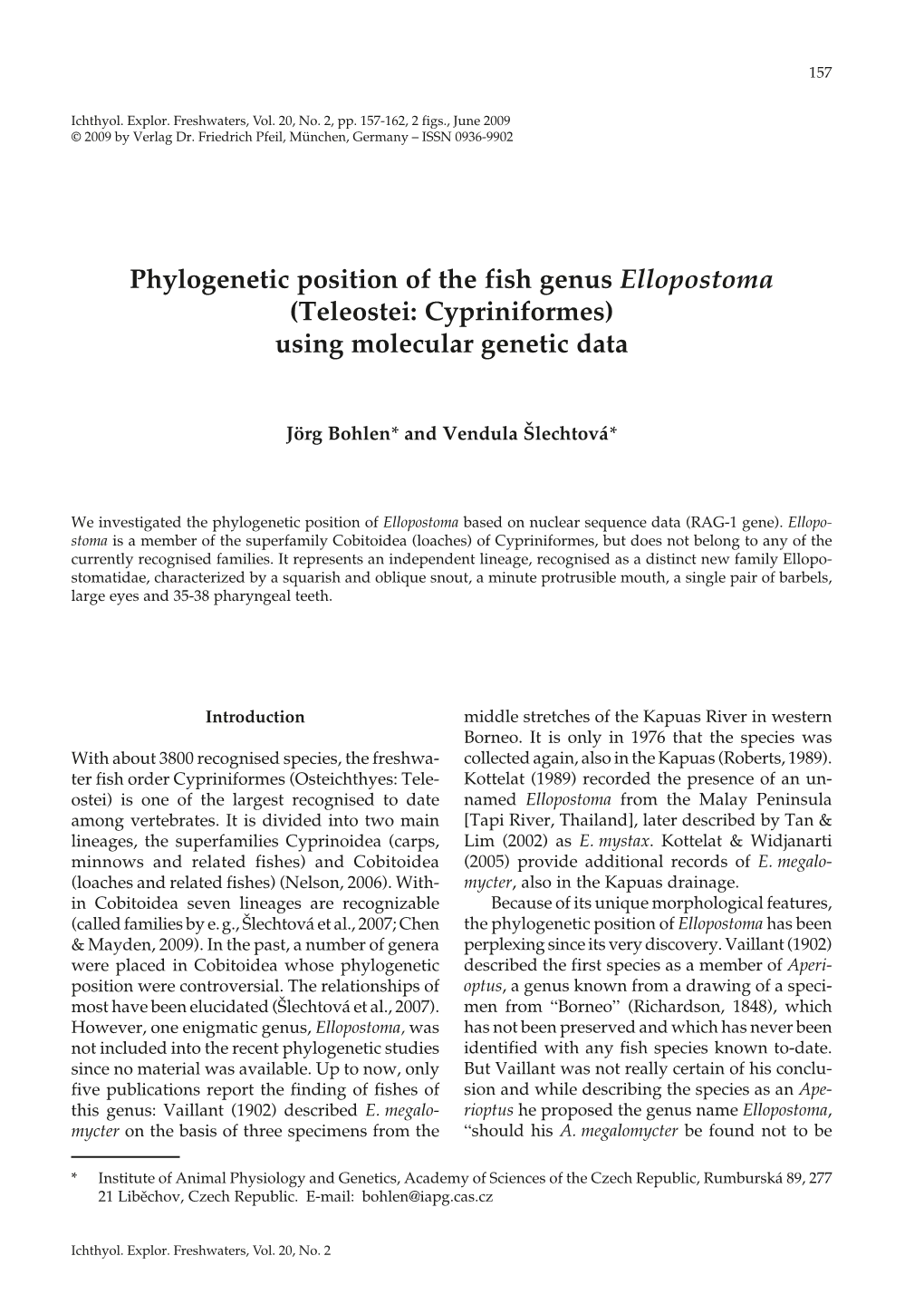 Phylogenetic Position of the Fish Genus Ellopostoma (Teleostei: Cypriniformes) Using Molecular Genetic Data