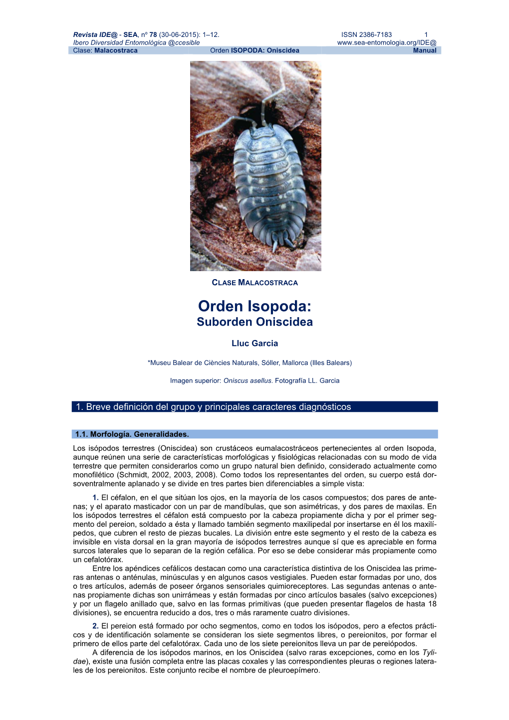 Orden Isopoda: Suborden Oniscidea