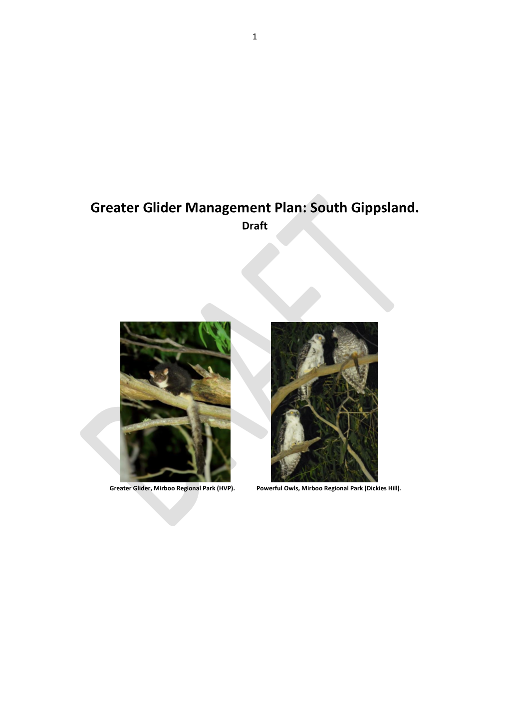 Greater Glider Management Plan: South Gippsland. Draft