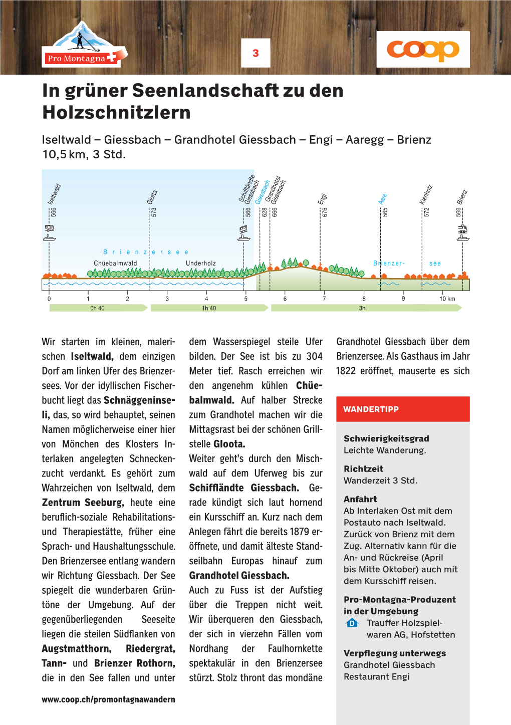 In Grüner Seenlandschaft Zu Den Holzschnitzlern Iseltwald – Giessbach – Grandhotel Giessbach – Engi – Aaregg – Brienz 10,5 Km, 3 Std