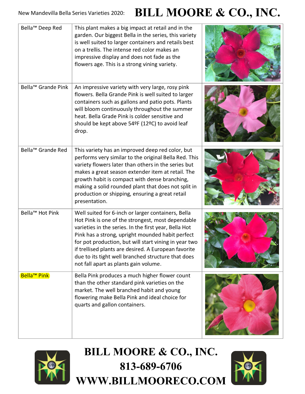 Mandevilla Bella.Pdf