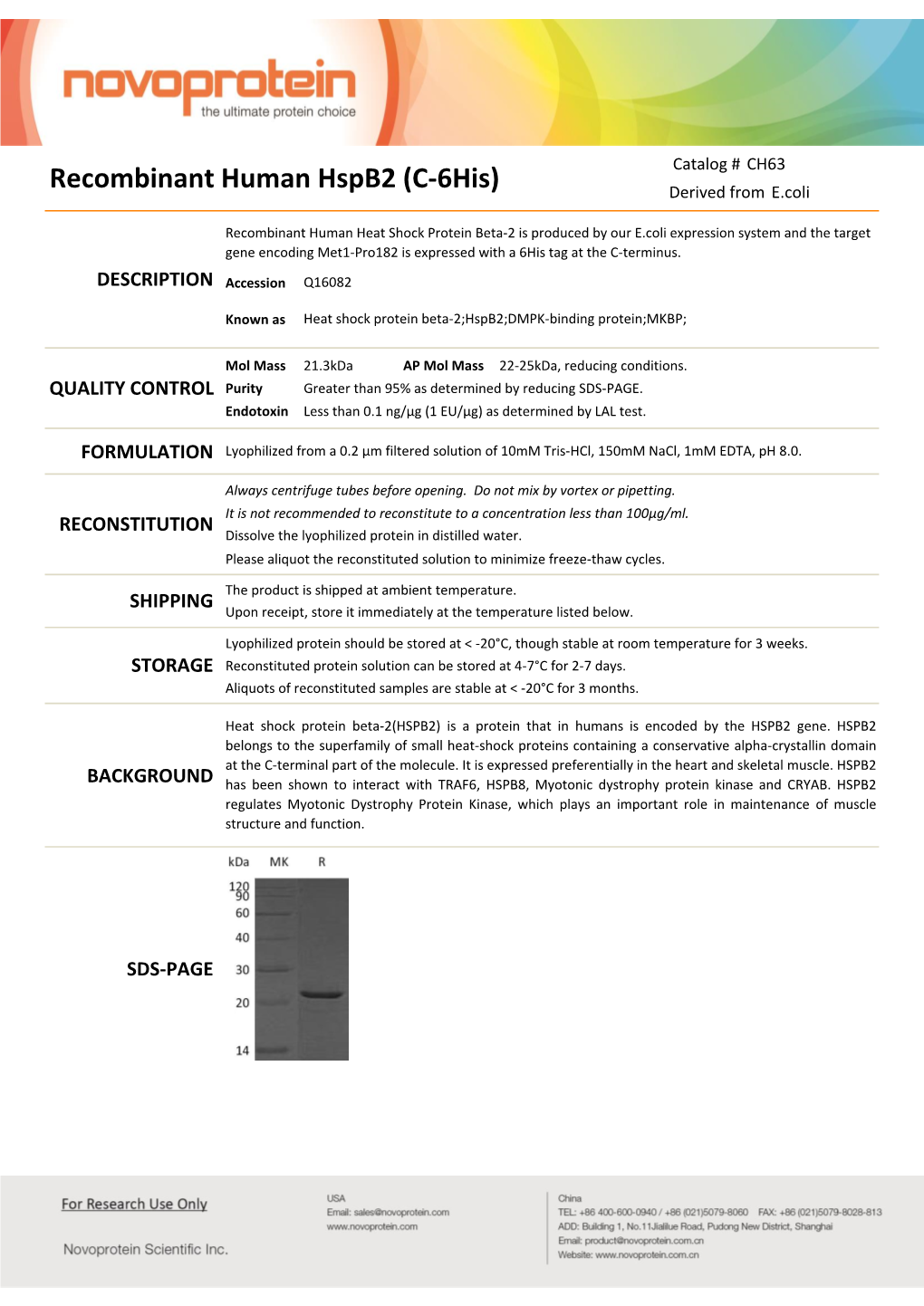 Recombinant Human Hspb2 (C-6His) Derived from E.Coli