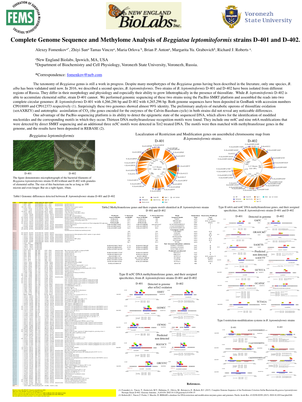 Complete Genome Sequence and Methylome Analysis of Beggiatoa Leptomitoformis Strains D-401 and D-402