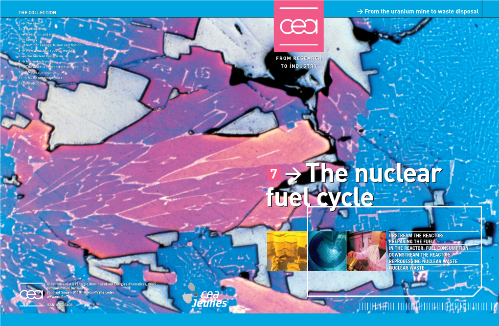 The Nuclear Fuel Cycle