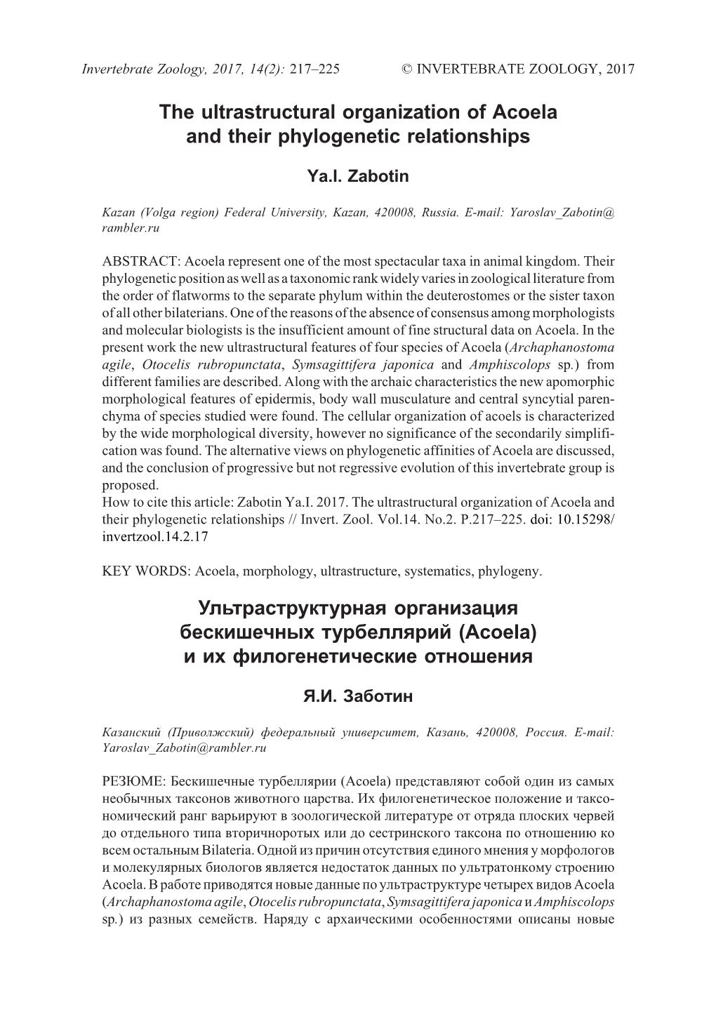 The Ultrastructural Organization of Acoela and Their Phylogenetic Relationships