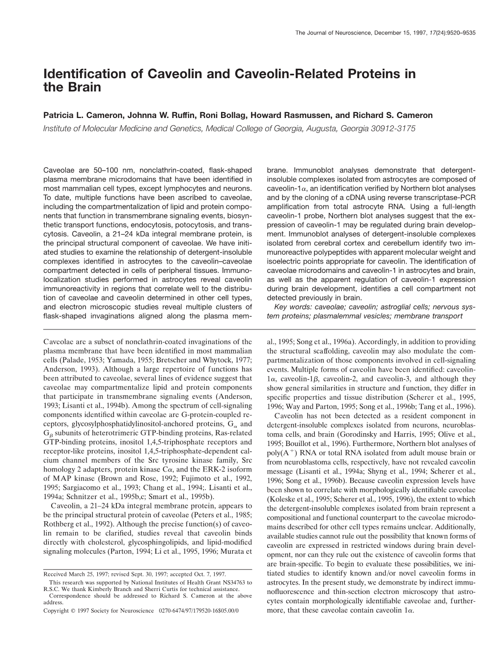 Identification of Caveolin and Caveolin-Related Proteins in the Brain