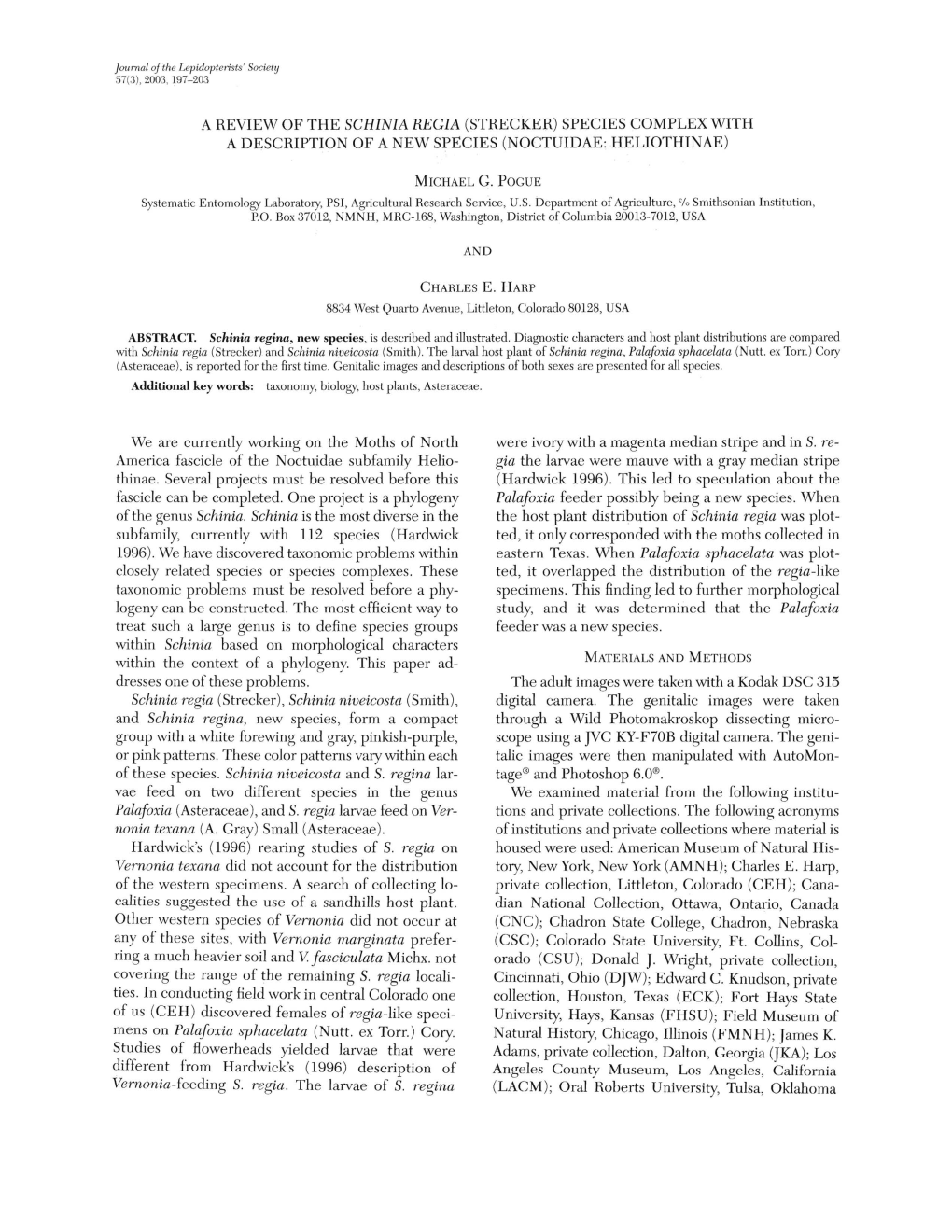 A Review of the Schinia Regia (Strecker) Species Complex with a Description of a New Species (Noctuidae: Heliothinae)