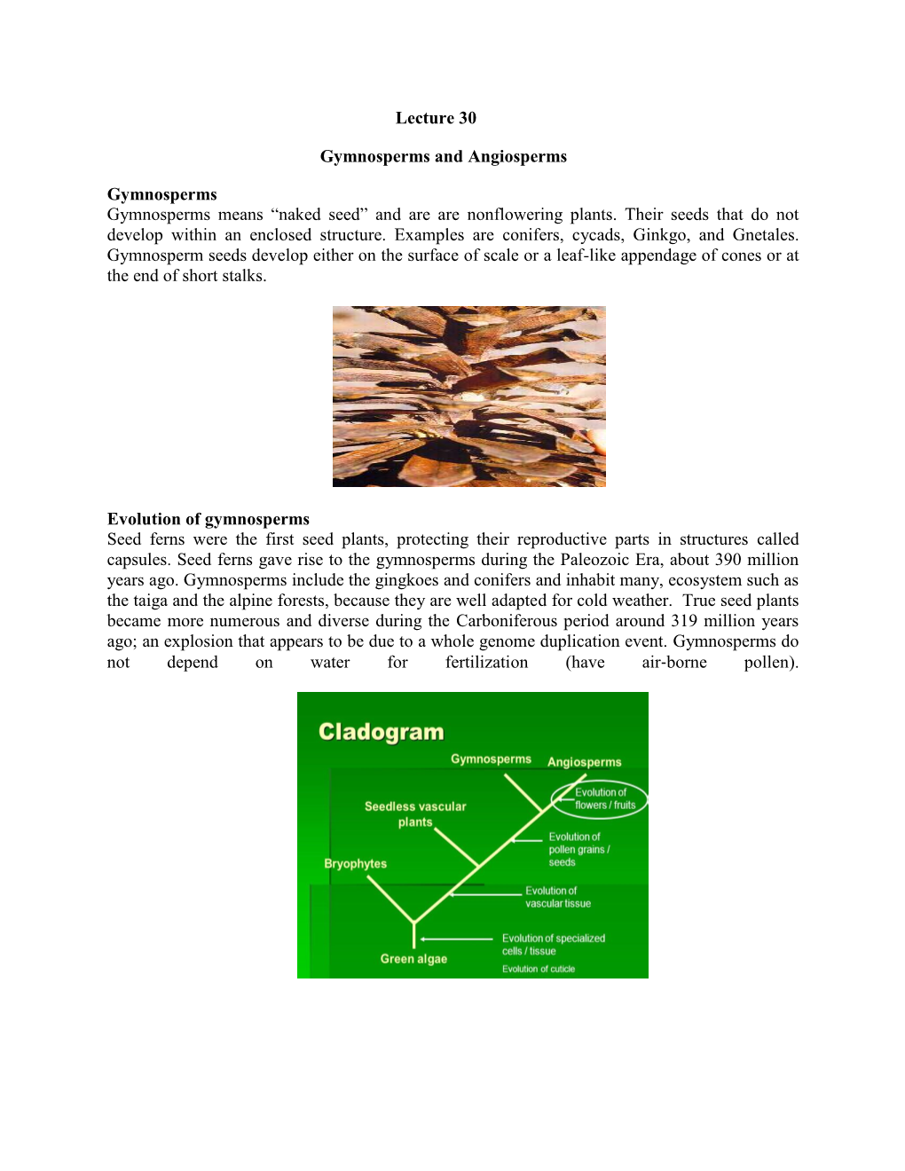 Handouts-Lect. 30 Gymnosperms and Angiosperms.Pdf