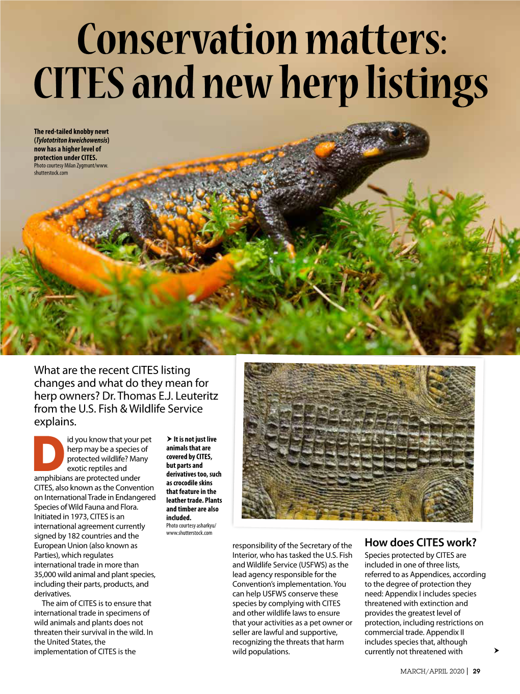 Conservation Matters: CITES and New Herp Listings