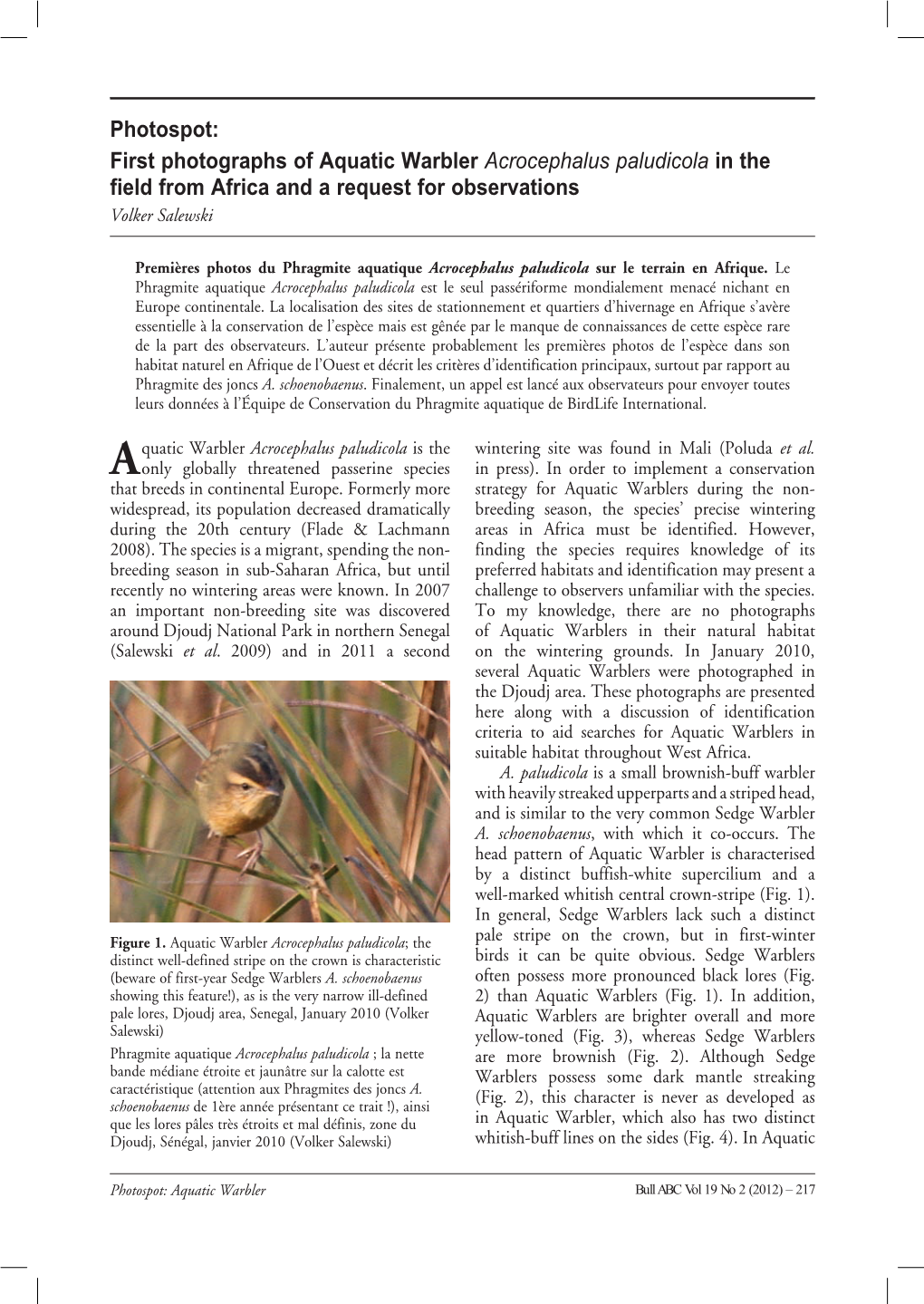 First Photographs of Aquatic Warbler Acrocephalus Paludicola in the Field from Africa and a Request for Observations Volker Salewski