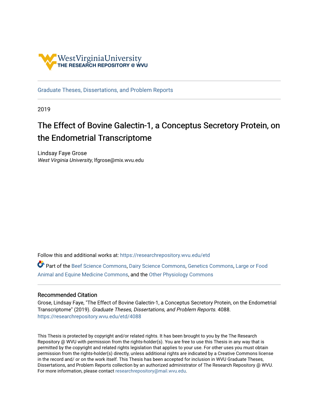 The Effect of Bovine Galectin-1, a Conceptus Secretory Protein, on the Endometrial Transcriptome