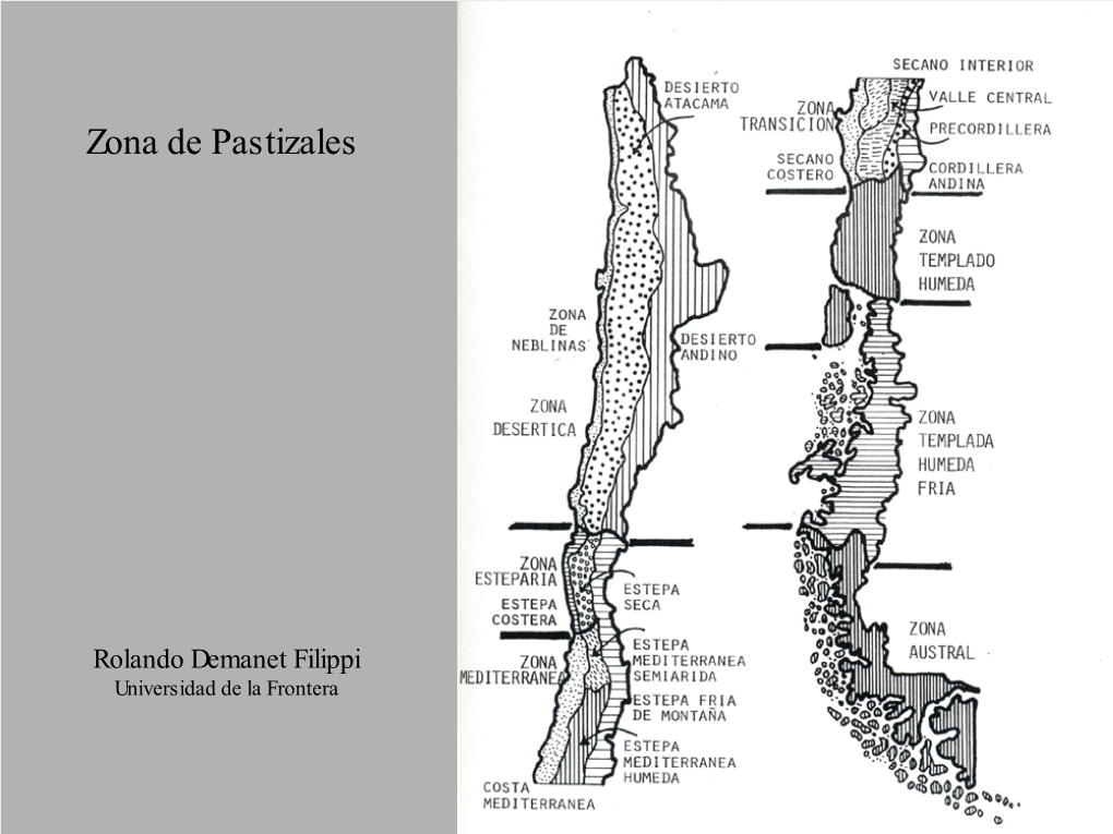 Festuca Pallescens Colliguaya Integerrima- Festuca Pallescens