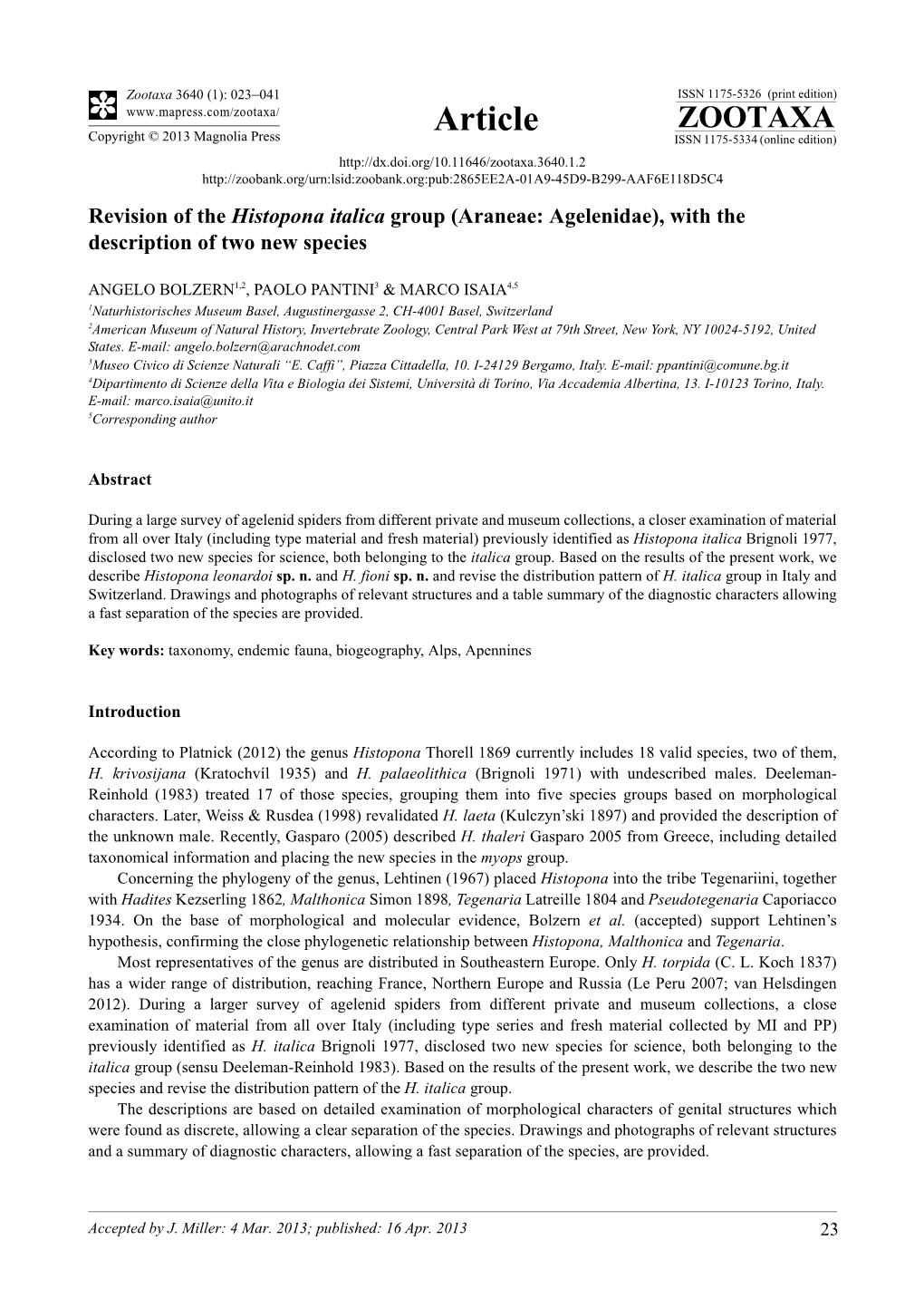 Revision of the Histopona Italica Group (Araneae: Agelenidae), with the Description of Two New Species