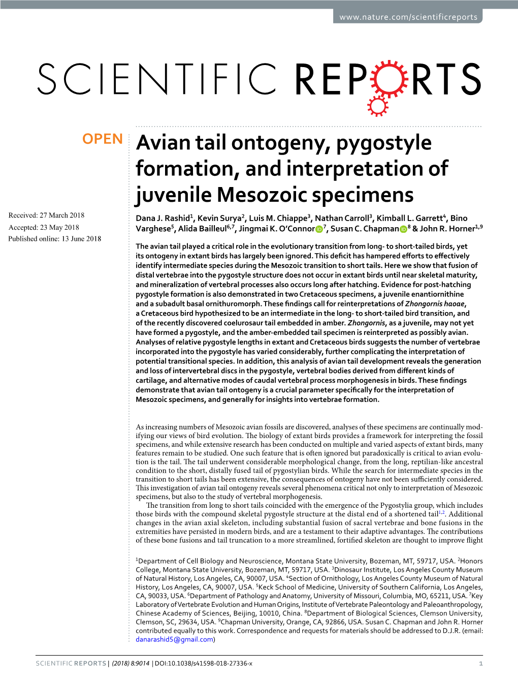 Avian Tail Ontogeny, Pygostyle Formation, and Interpretation of Juvenile Mesozoic Specimens Received: 27 March 2018 Dana J