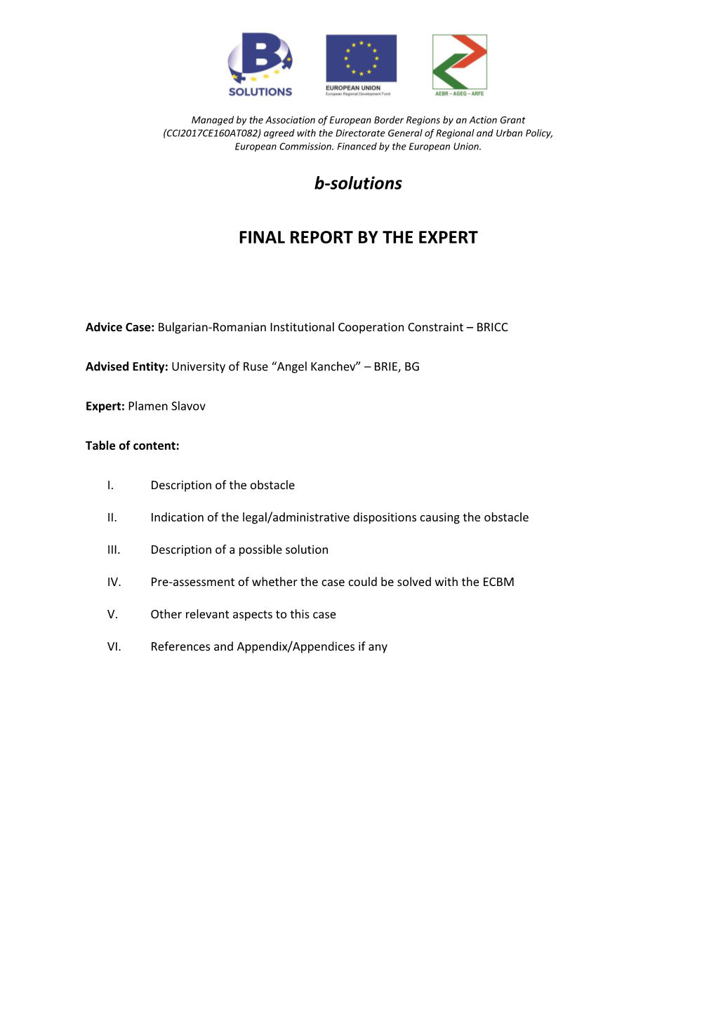 B-Solutions FINAL REPORT by the EXPERT