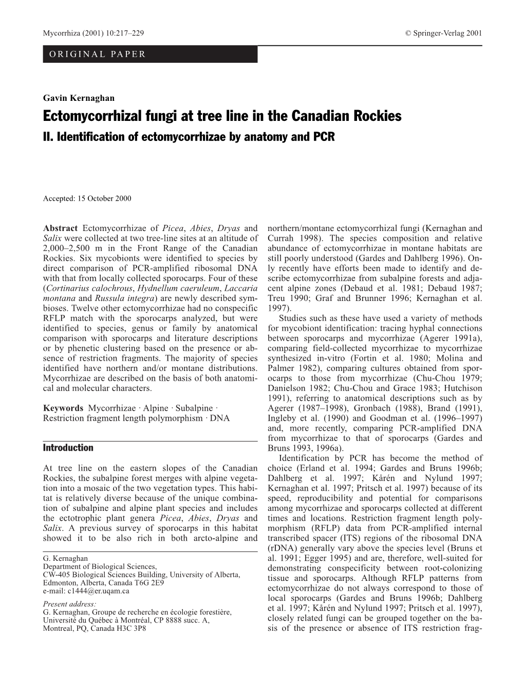 Ectomycorrhizal Fungi at Tree Line in the Canadian Rockies II