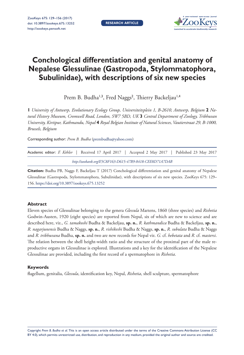 Conchological Differentiation and Genital Anatomy of Nepalese Glessulinae (Gastropoda, Stylommatophora, Subulinidae), with Descriptions of Six New Species