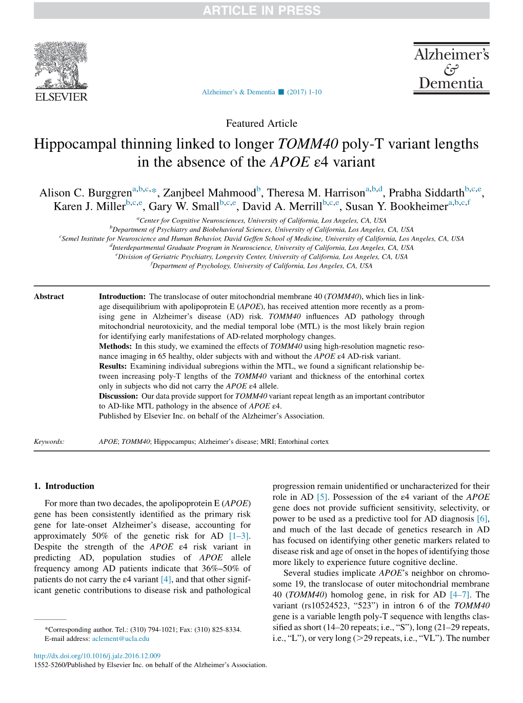 Hippocampal Thinning Linked to Longer TOMM40 Poly-T Variant Lengths in the Absence of the APOE &Epsi