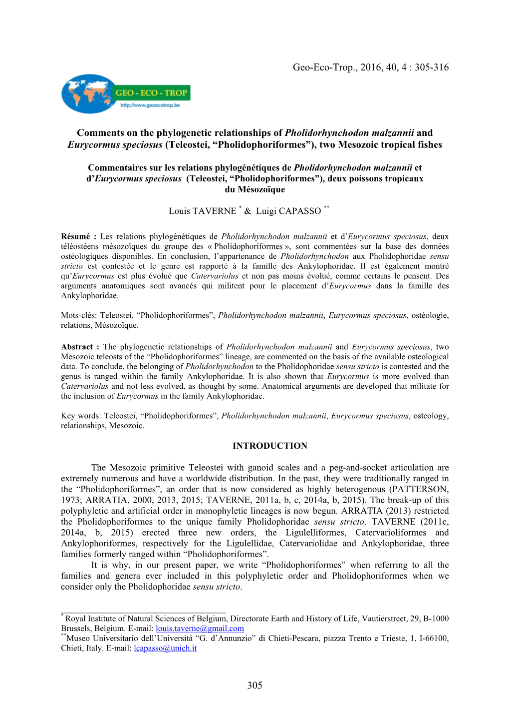 305-316 Comments on the Phylogenetic Relationships Of