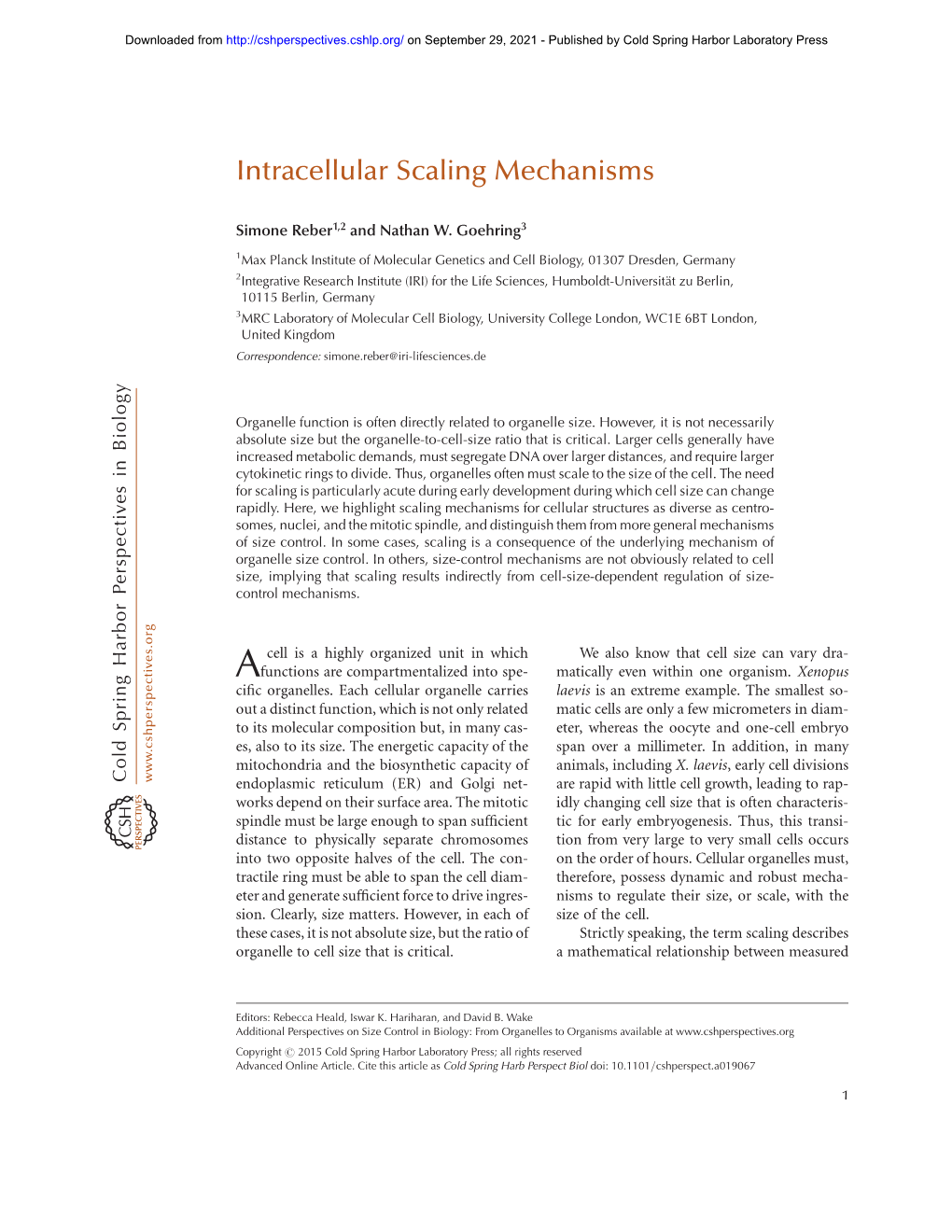 Intracellular Scaling Mechanisms