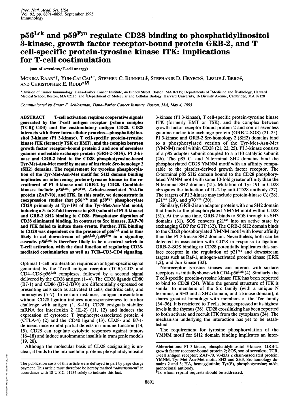 Cell-Specific Protein-Tyrosine Kinase ITK: Implications for T-Cell Costimulation (Son of Sevenless/T-Cell Anergy) MONIKA RAAB*T, YUN-CAI CAI*T, STEPHEN C