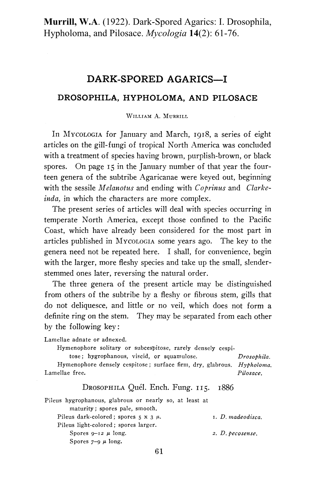 Dark-Spored Agarics: I. Drosophila, Hypholoma, and Pilosace