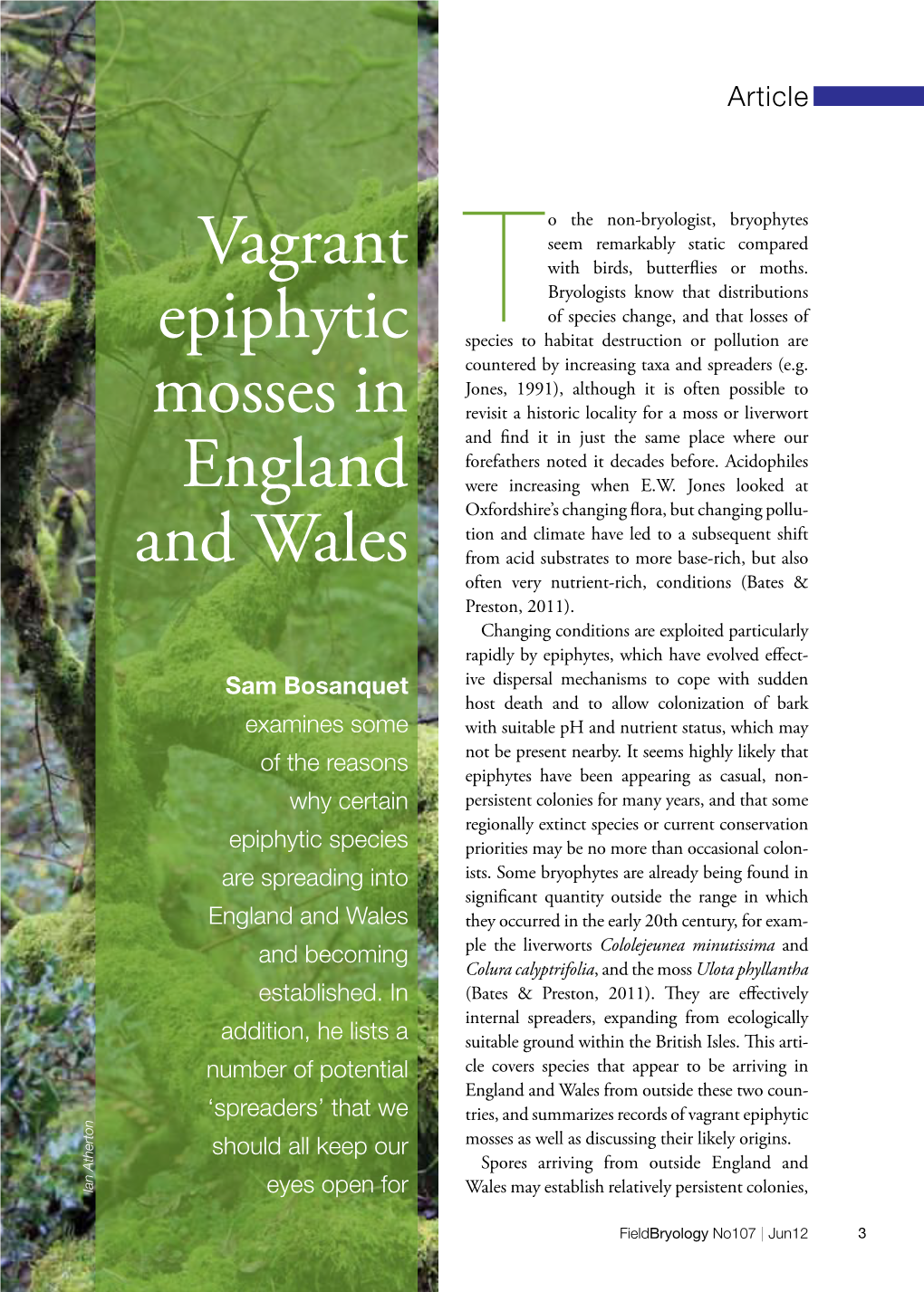 Vagrant Epiphytic Mosses in England and Wales