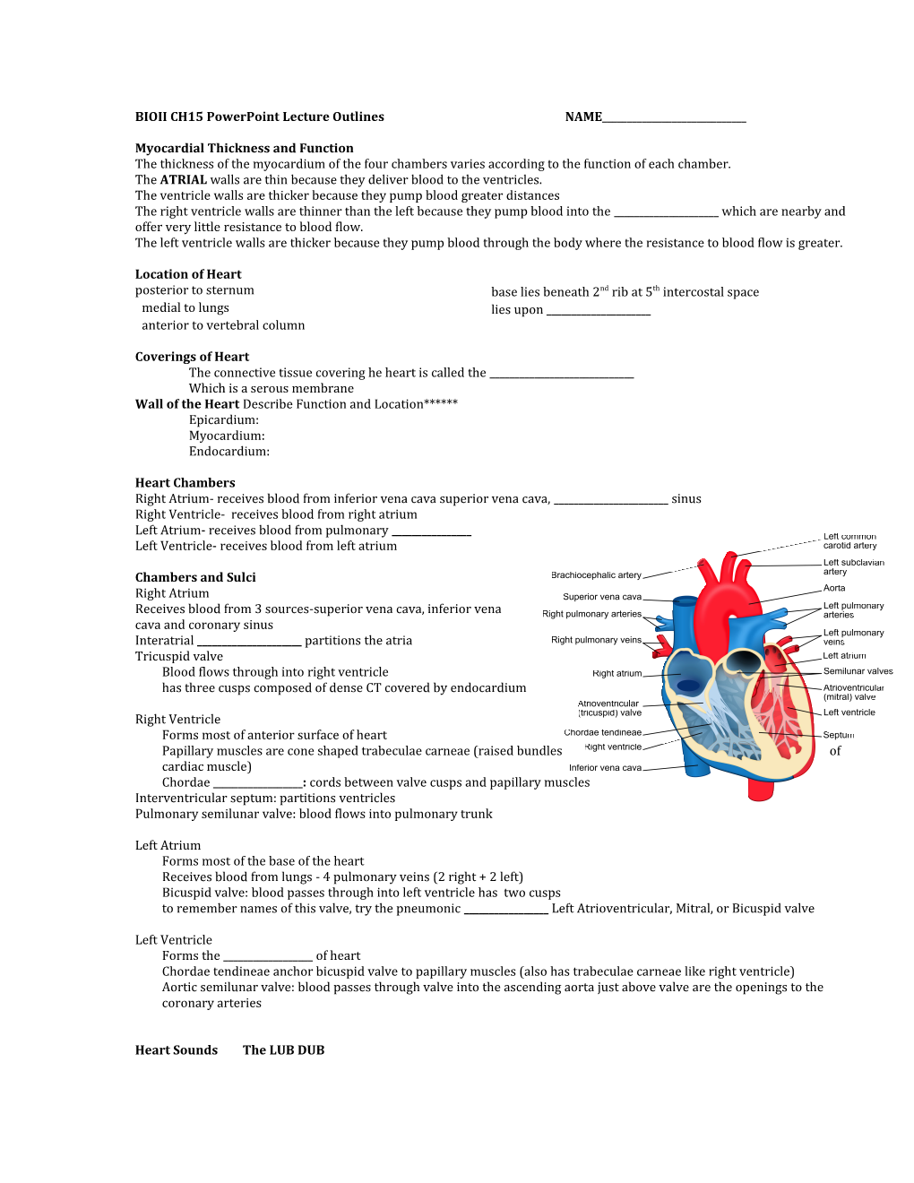 BIOII CH15 Powerpoint Lecture Outlines NAME______