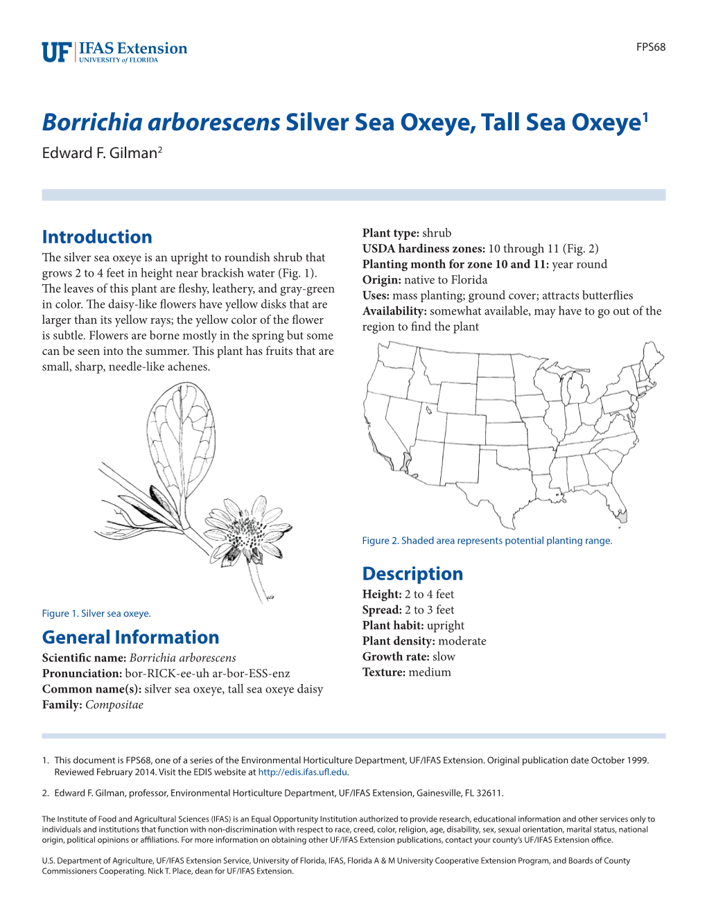 Borrichia Arborescens Silver Sea Oxeye, Tall Sea Oxeye1 Edward F