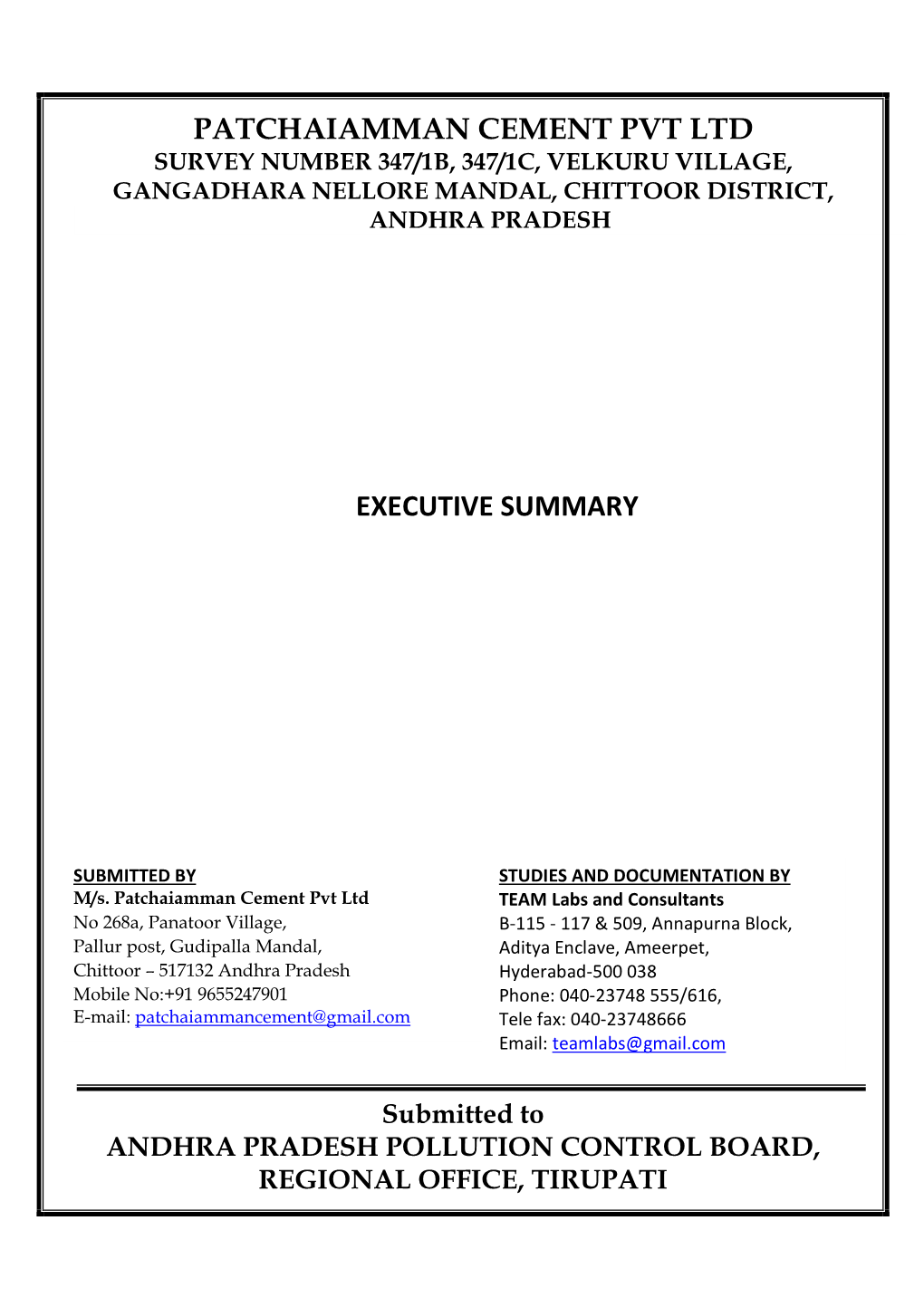 Patchaiamman Cement Pvt Ltd Executive Summary
