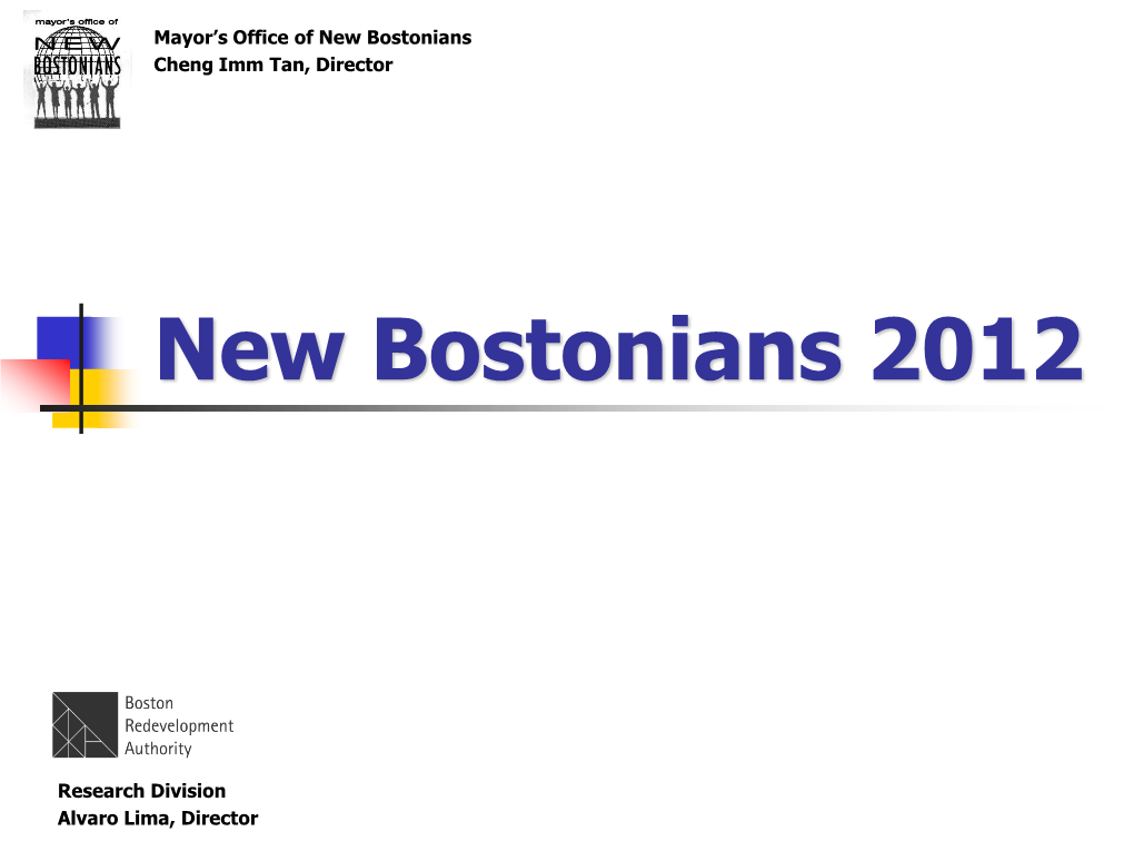 New Bostonians Demographic Report