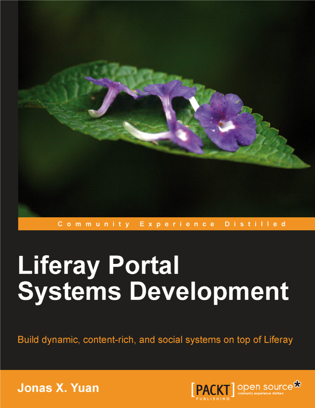 Liferay Portlet Display