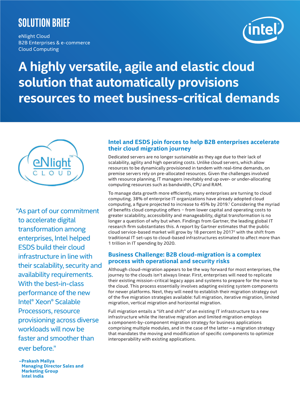 Enlight* Cloud Computing for B2B & E-Commerce: Soluton Brief