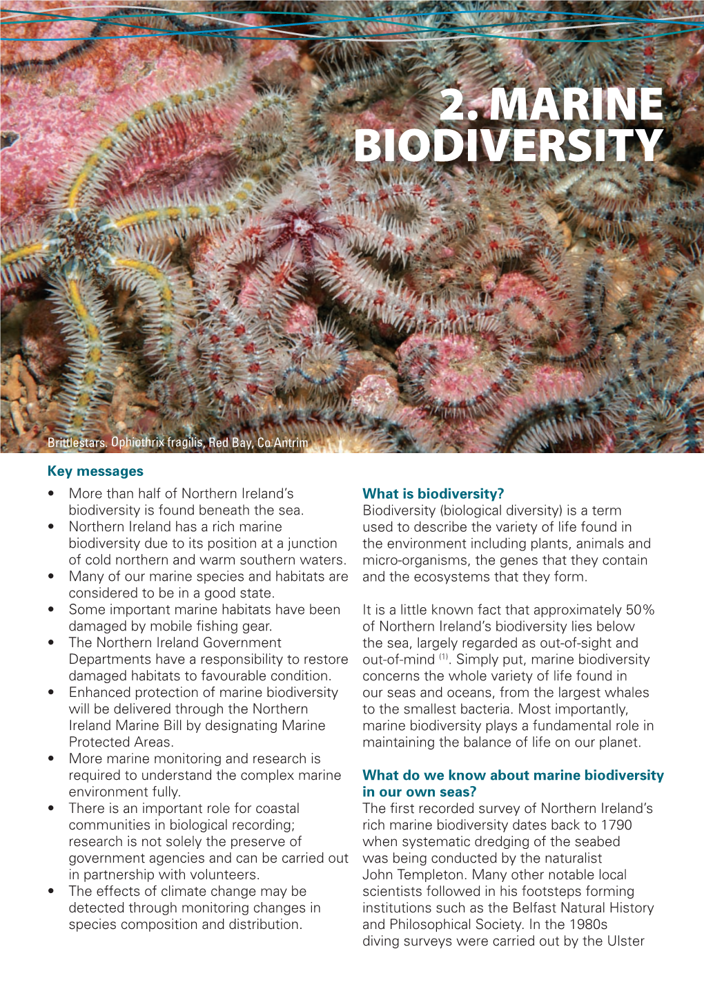 2. Marine Biodiversity