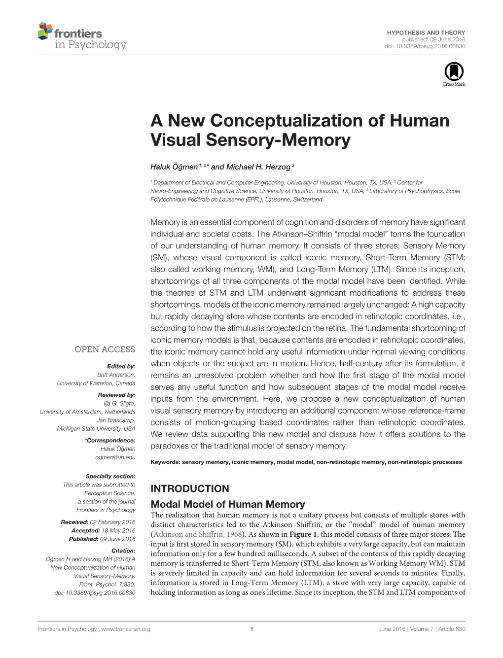 A New Conceptualization of Human Visual Sensory-Memory