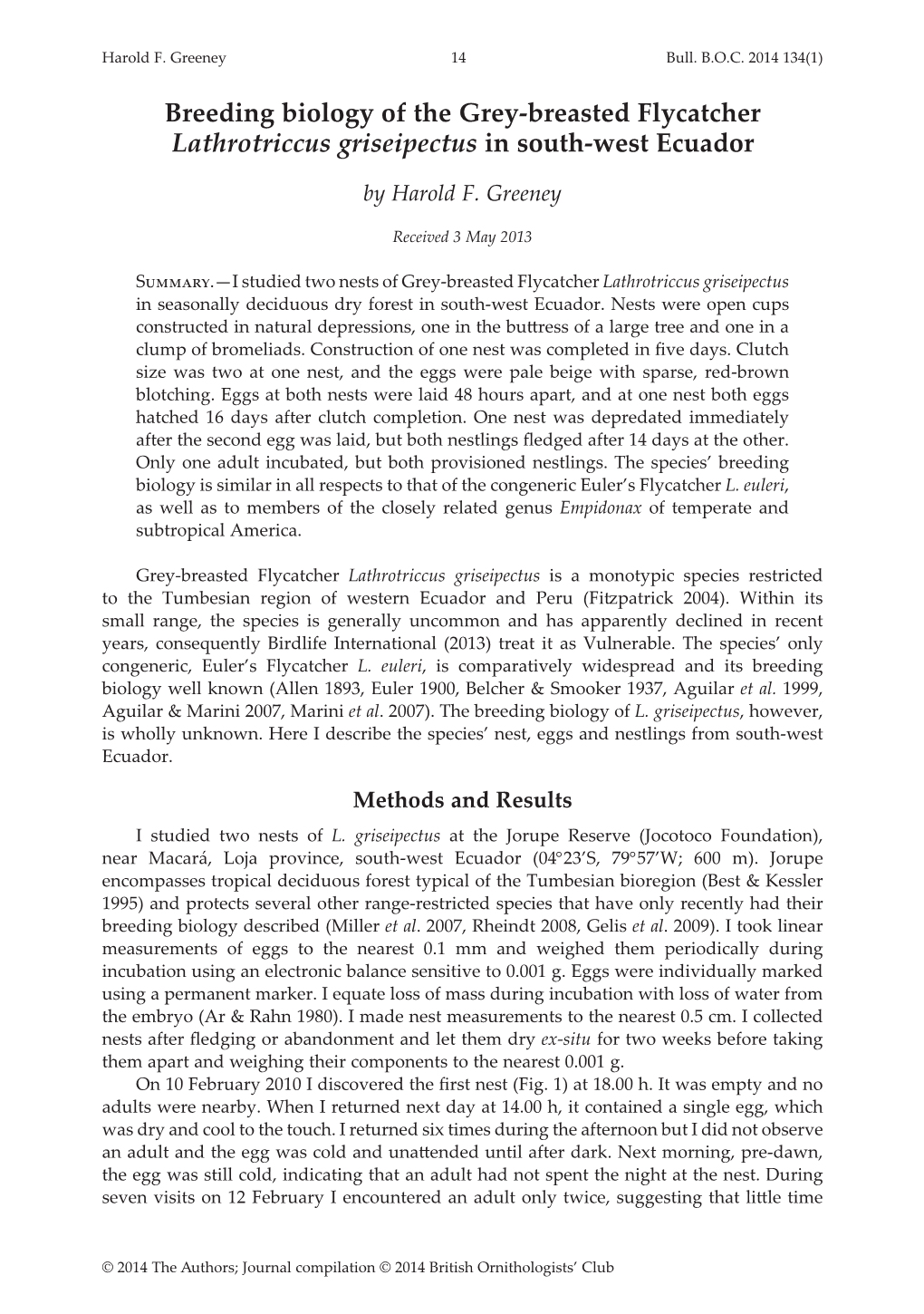 Breeding Biology of the Grey-Breasted Flycatcher Lathrotriccus Griseipectus in South-West Ecuador