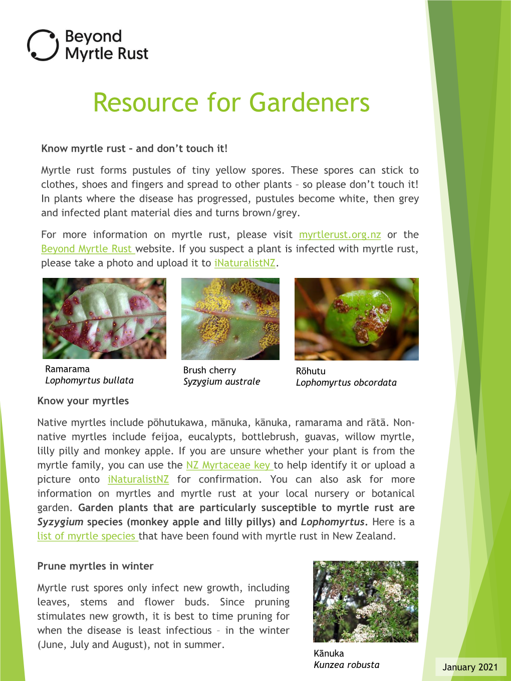 Myrtle Rust Resource for Gardeners
