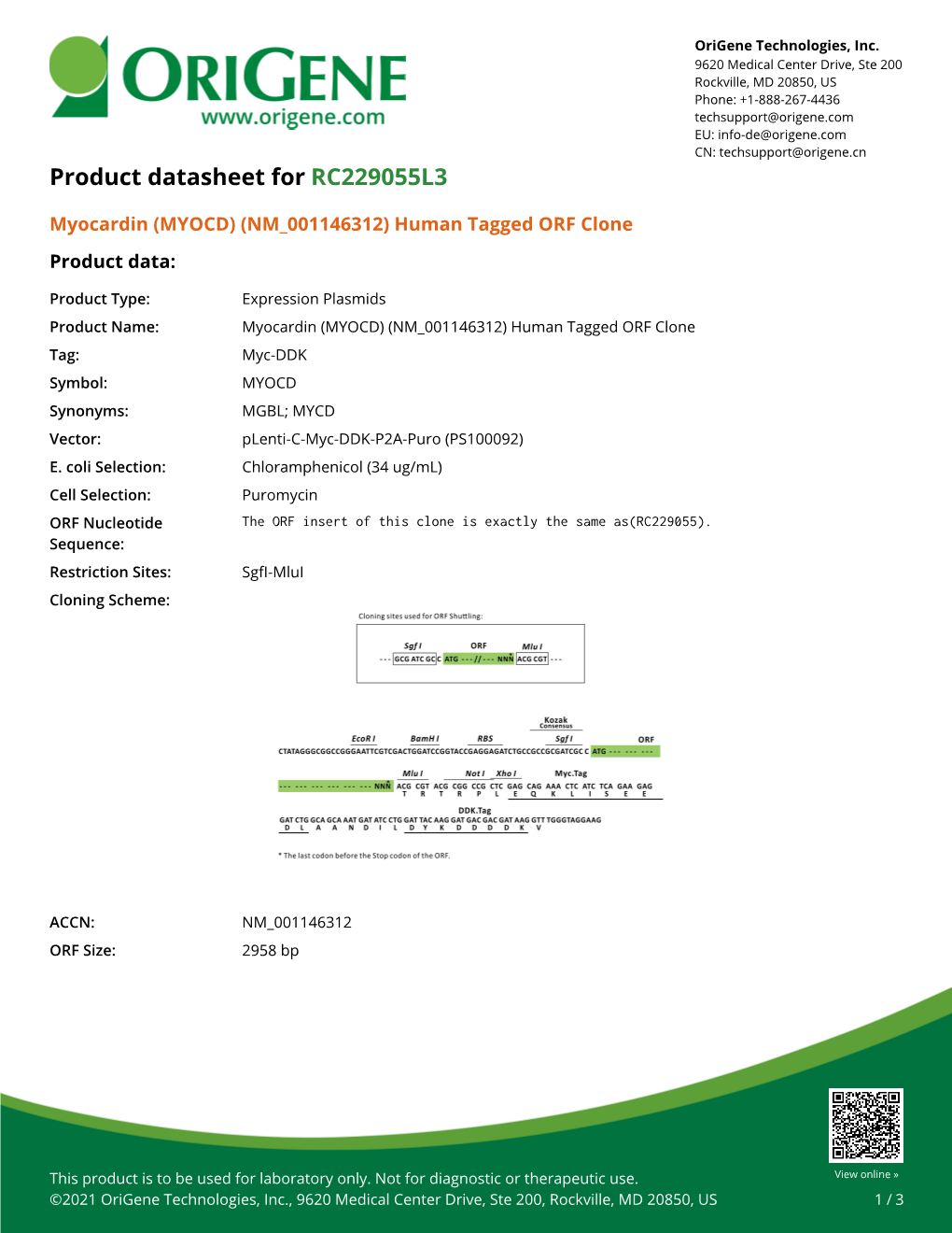Myocardin (MYOCD) (NM 001146312) Human Tagged ORF Clone Product Data