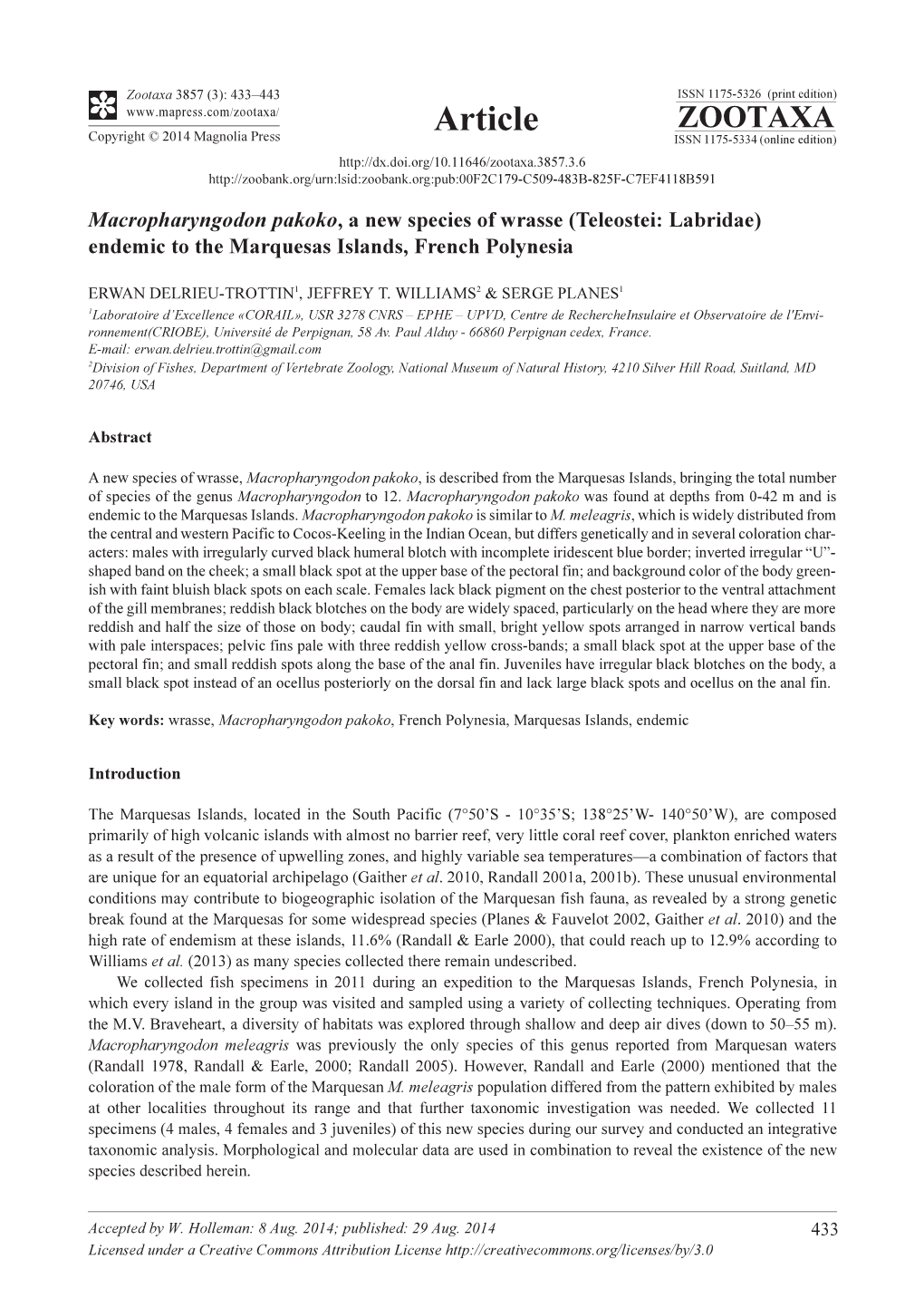 Macropharyngodon Pakoko, a New Species of Wrasse (Teleostei: Labridae) Endemic to the Marquesas Islands, French Polynesia